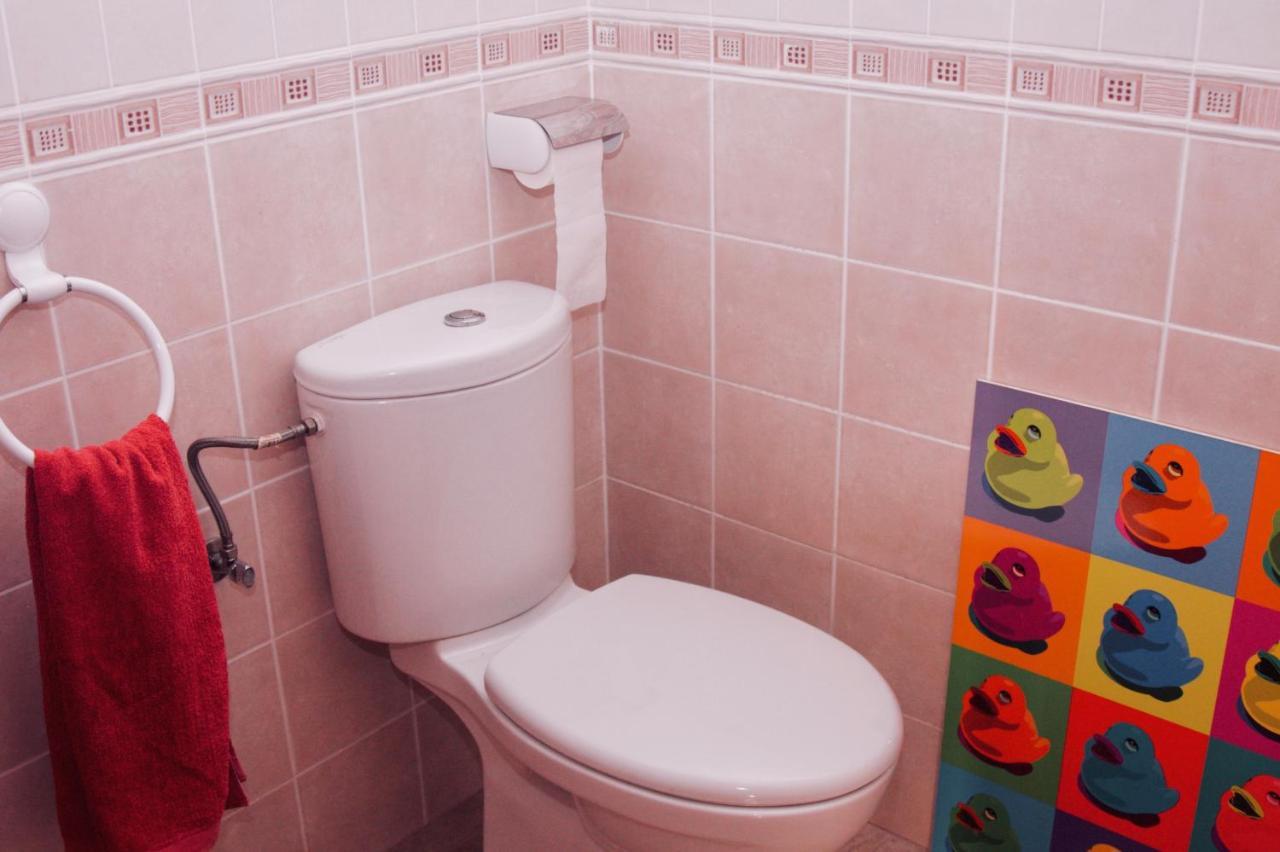 Apartamento Vista Al Ara Aínsa Kültér fotó